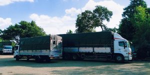 z4184216994134_8113858551b53b451cef156e1dfb7122